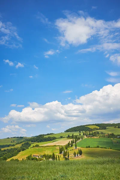 Geometria das colinas da Toscana — Fotografia de Stock