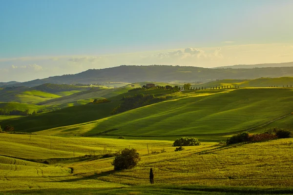 Wzgórza Toskanii, Włochy — Zdjęcie stockowe