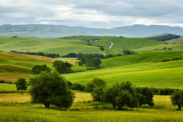 Krásná letní krajina — Stock fotografie