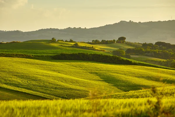 Toskánsku hills, Itálie — Stock fotografie