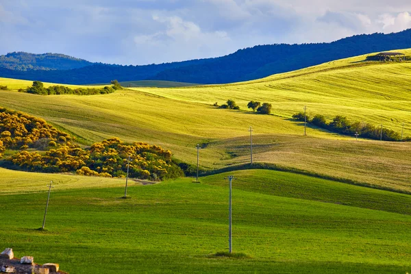 Toskana Hügel, Italien — Stockfoto