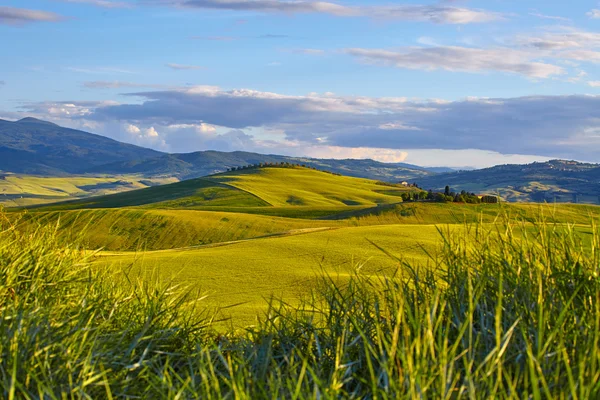 Toscana hills, Italien — Stockfoto