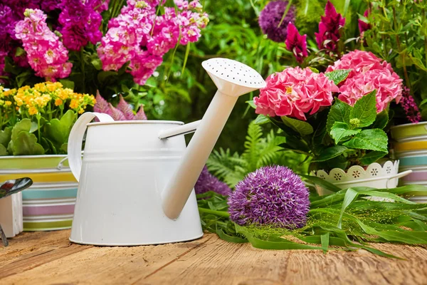 Gardening tools and flowers  on the terrace — Stock Photo, Image