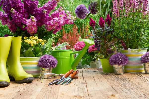 Attrezzi da giardinaggio e fiori sulla terrazza — Foto Stock