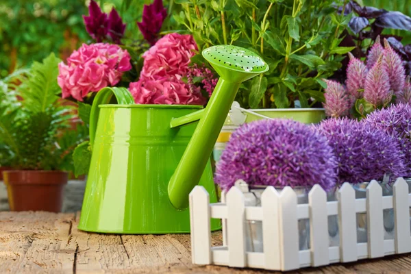 Tuingereedschap en bloemen op het terras — Stockfoto