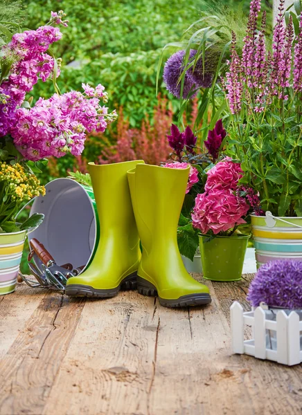 Trädgårdsredskap och blommor på terrassen — Stockfoto