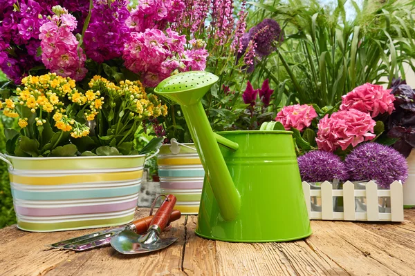 Tuingereedschap en bloemen op het terras — Stockfoto