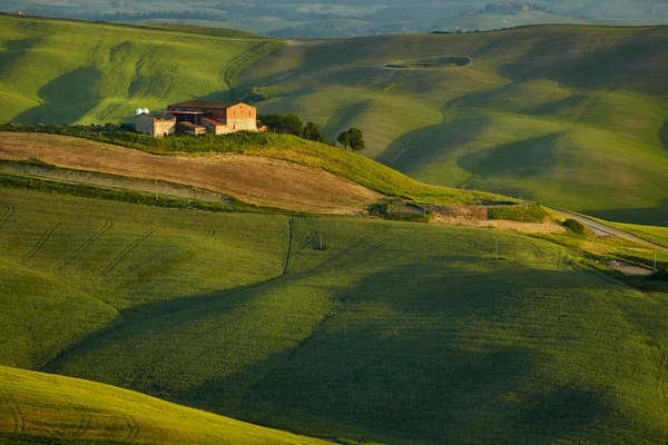 Yeşil Toskana hills — Stok fotoğraf