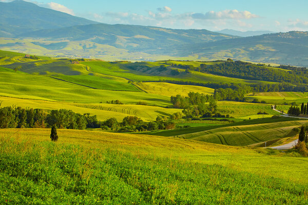 Tuscany, rural sunset landscape.