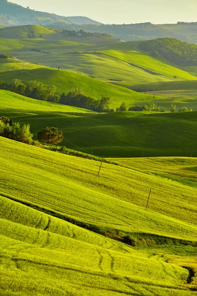 Toskana, ländliche Sonnenuntergangslandschaft. — Stockfoto