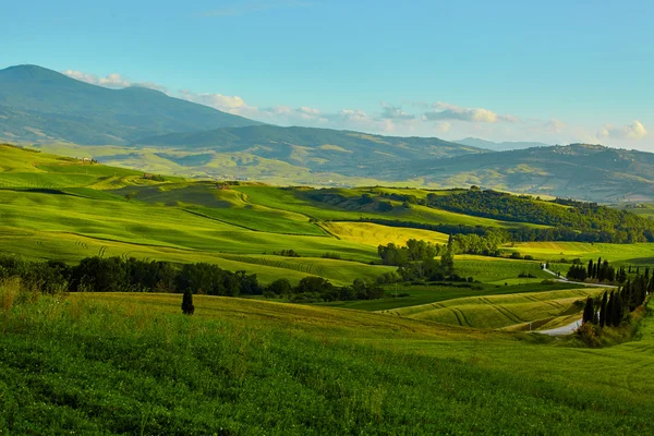 Toskana, ländliche Sonnenuntergangslandschaft. — Stockfoto