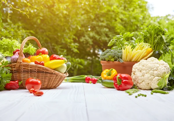 Čerstvá bio zelenina — Stock fotografie