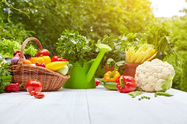 Verduras orgánicas frescas —  Fotos de Stock