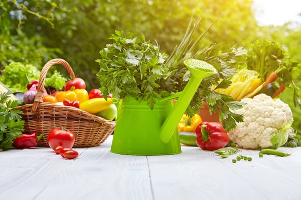 Produtos hortícolas biológicos frescos — Fotografia de Stock