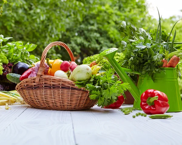 Produtos hortícolas biológicos frescos — Fotografia de Stock