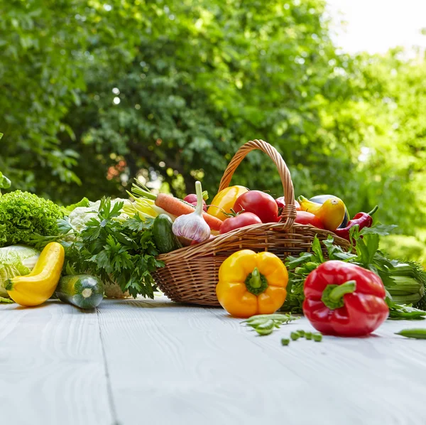 Verse biologische groenten — Stockfoto