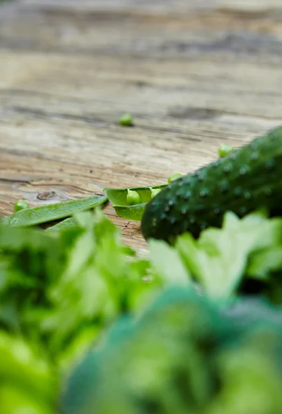 Färska gröna grönsaker set — Stockfoto