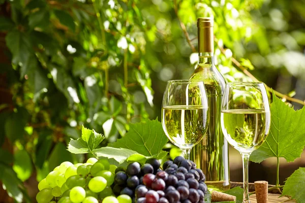 Uva e vinho branco em barril de madeira — Fotografia de Stock