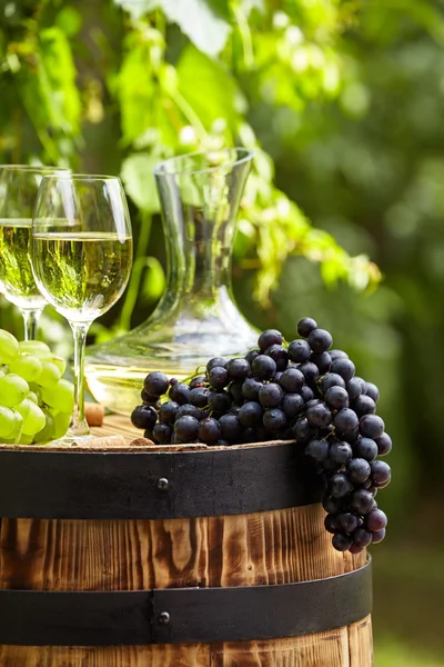 Grape on a wooden barrel — Stock Photo, Image