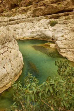 Turkuaz Kanyon, Umman