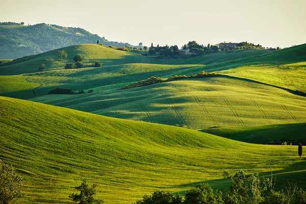 Krajina Toskánska Hills — Stock fotografie