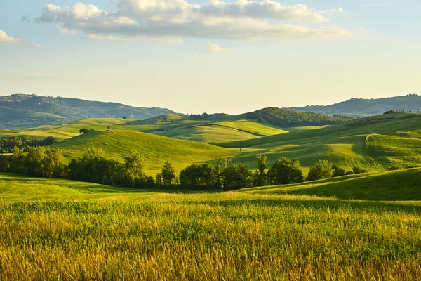 Landschaft der toskanischen Hügel — Stockfoto