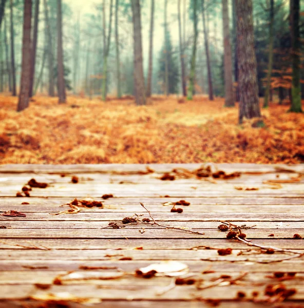 Mesa de madera con bosque de otoño — Foto de Stock