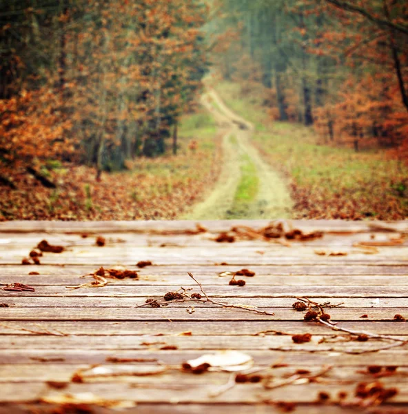 Wooden table with Autumn forest — Stock Photo, Image