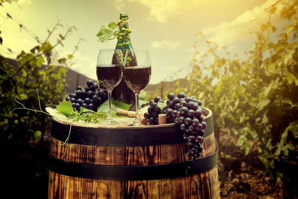 Botella de vino tinto y copas — Foto de Stock