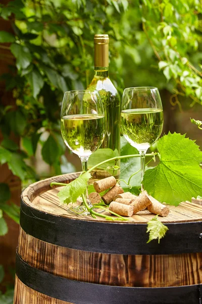 Glasses of white wine — Stock Photo, Image