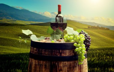 Bir kadeh kırmızı şarap.