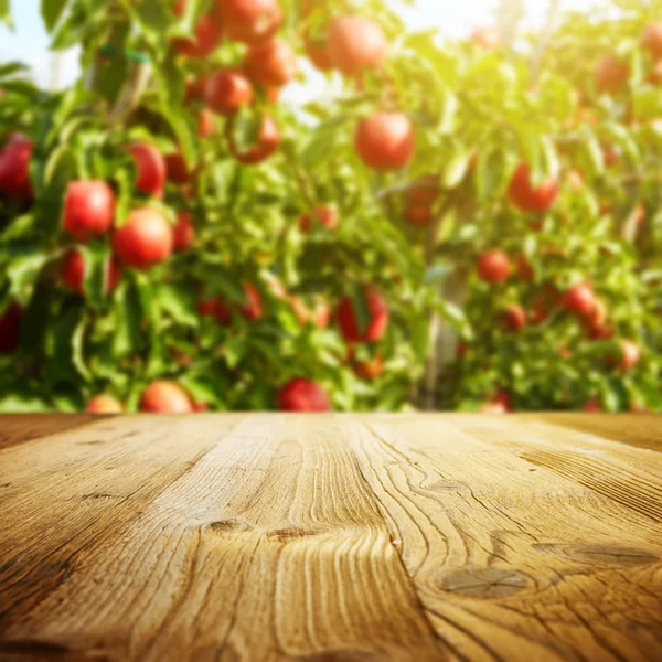Table space and apple garden — Stock Photo, Image