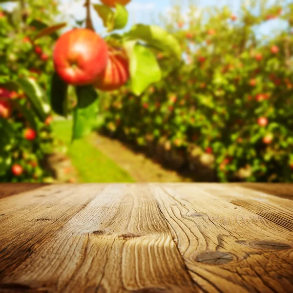 Tabell utrymme och apple trädgård — Stockfoto