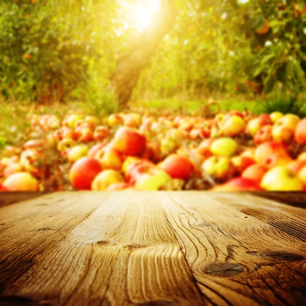 Tisch und Apfelgarten — Stockfoto