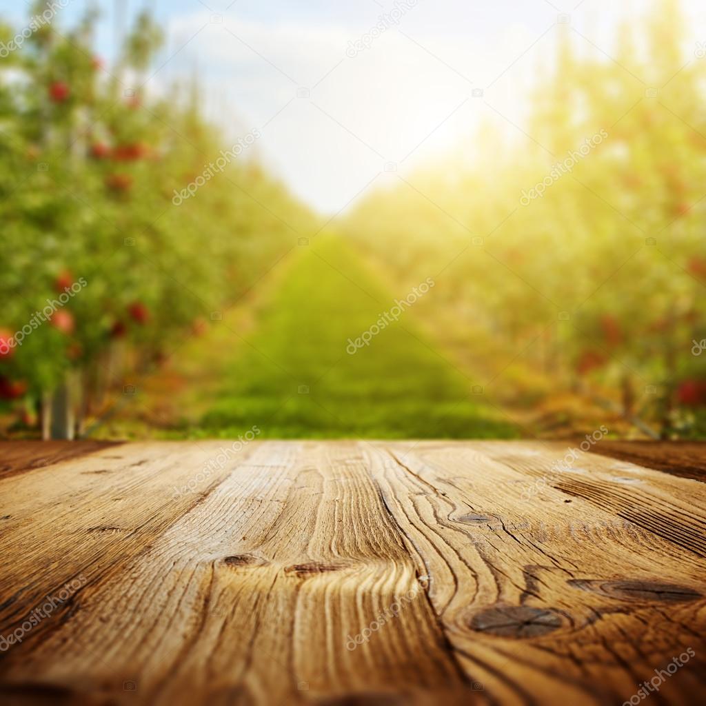 table space and apple garden