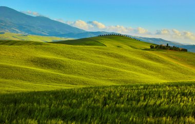 Tuscany kırsal çiftlik