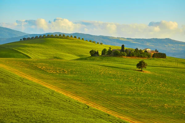 Tuscany vidéki gazdaság — Stock Fotó