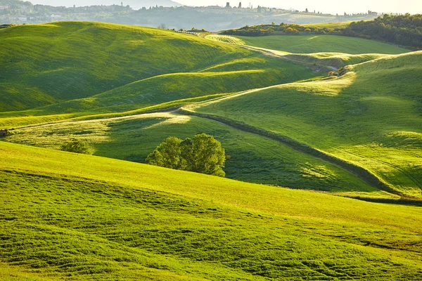 Tuscany yeşil tepeler — Stok fotoğraf