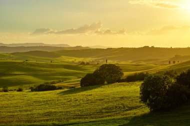 Yeşil Toskana hills