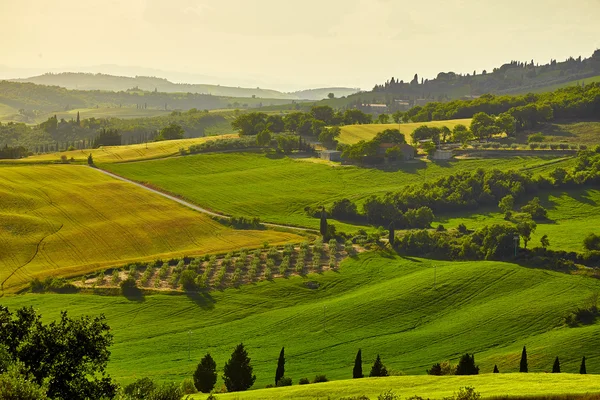 Green Tuscany hills — Stock Photo, Image