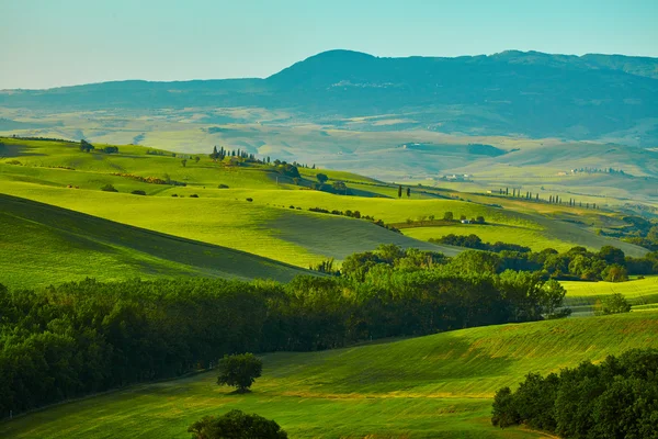 Verdi colline toscane — Foto Stock