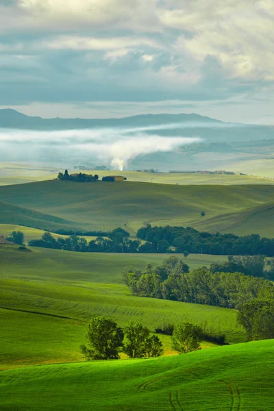 Zelené kopce Toskánska — Stock fotografie