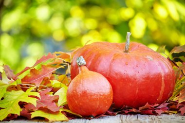 kabak ve squash ahşap tablo