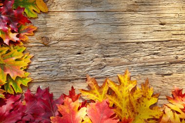 ahşap masa yapraklarda