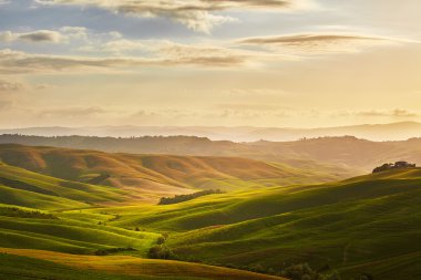 Yeşil Toskana hills