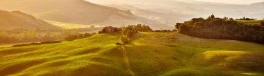 Tuscany yeşil tepeler