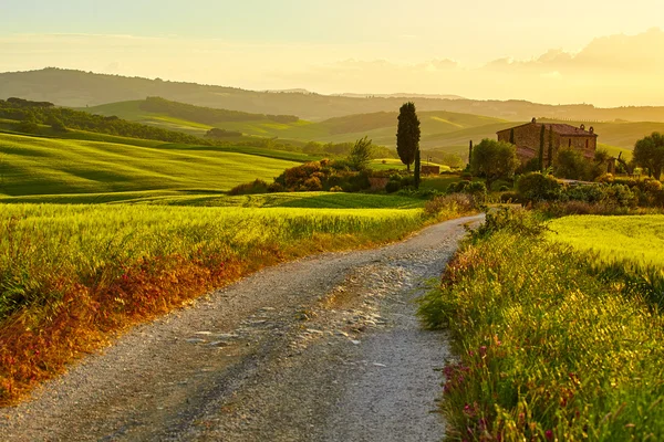 Tôt le matin à la campagne — Photo