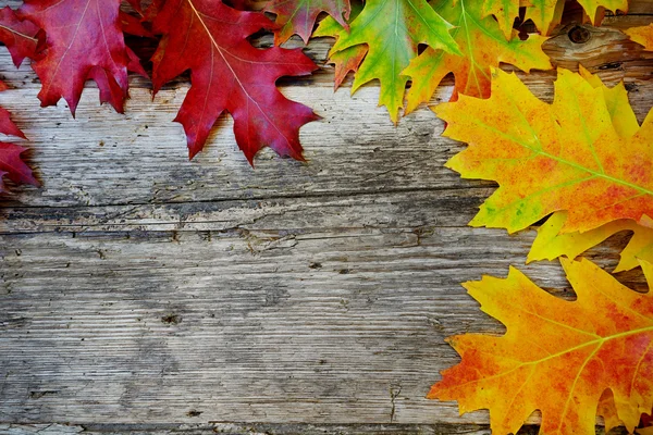 Bladeren op houten tafel — Stockfoto