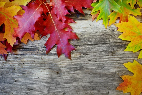 Blätter auf Holztisch — Stockfoto