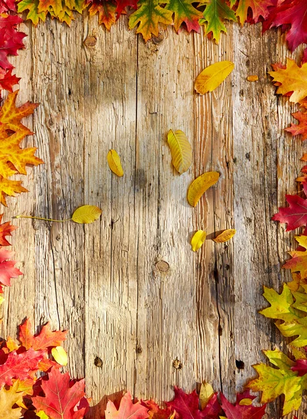 Leaves on wooden table — Stock Photo, Image